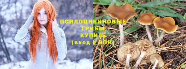 кокс Дубна