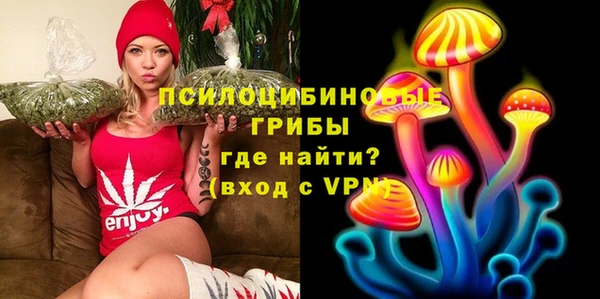 mdma Пересвет