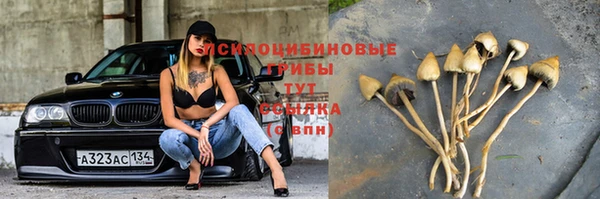 mdma Пестово