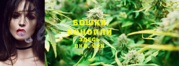 СК Осинники