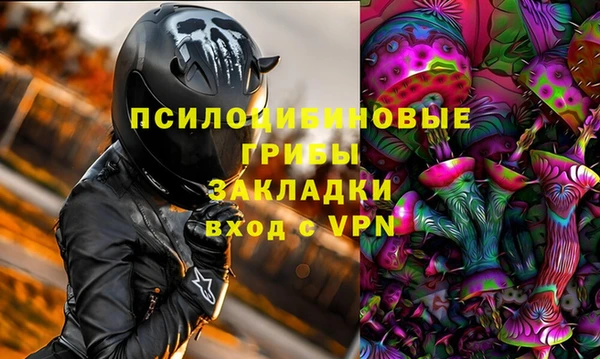стафф Осташков