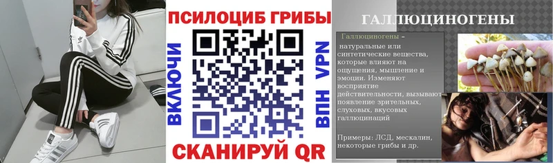 ОМГ ОМГ зеркало  Кохма  Галлюциногенные грибы MAGIC MUSHROOMS 