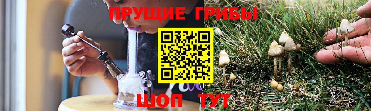 Галлюциногенные грибы прущие грибы Кохма