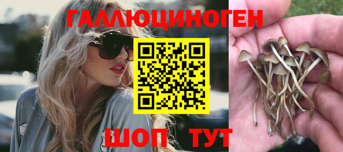 Псилоцибиновые грибы прущие грибы  Псилоцибиновые грибы Cubensis  Вход с VPN  Кохма 
